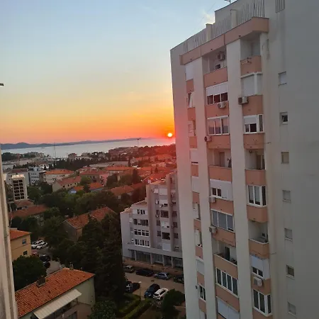 Neli Zadar