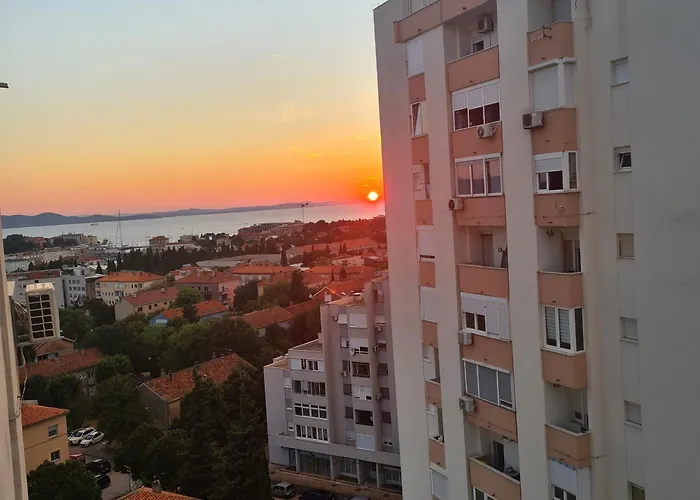 Neli Zadar